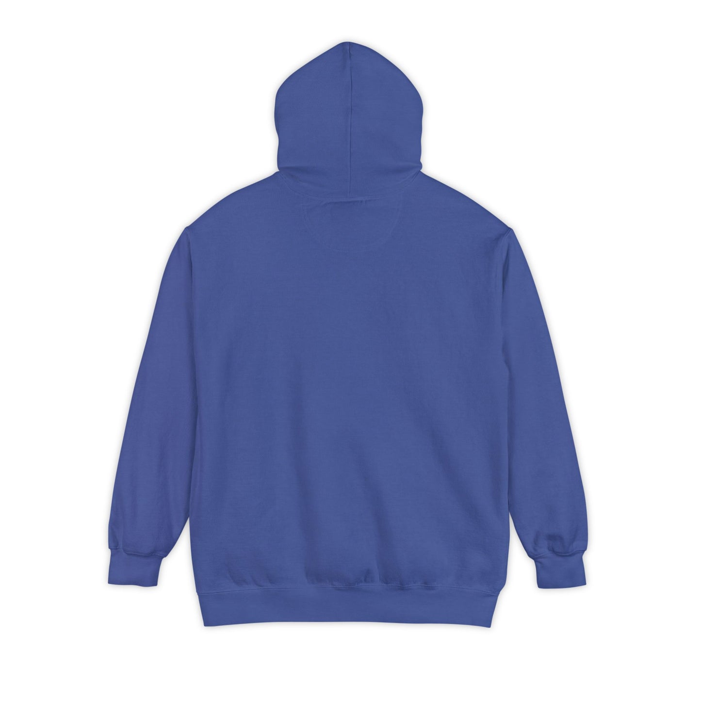 EPHESIANS 6:11 HOODIE