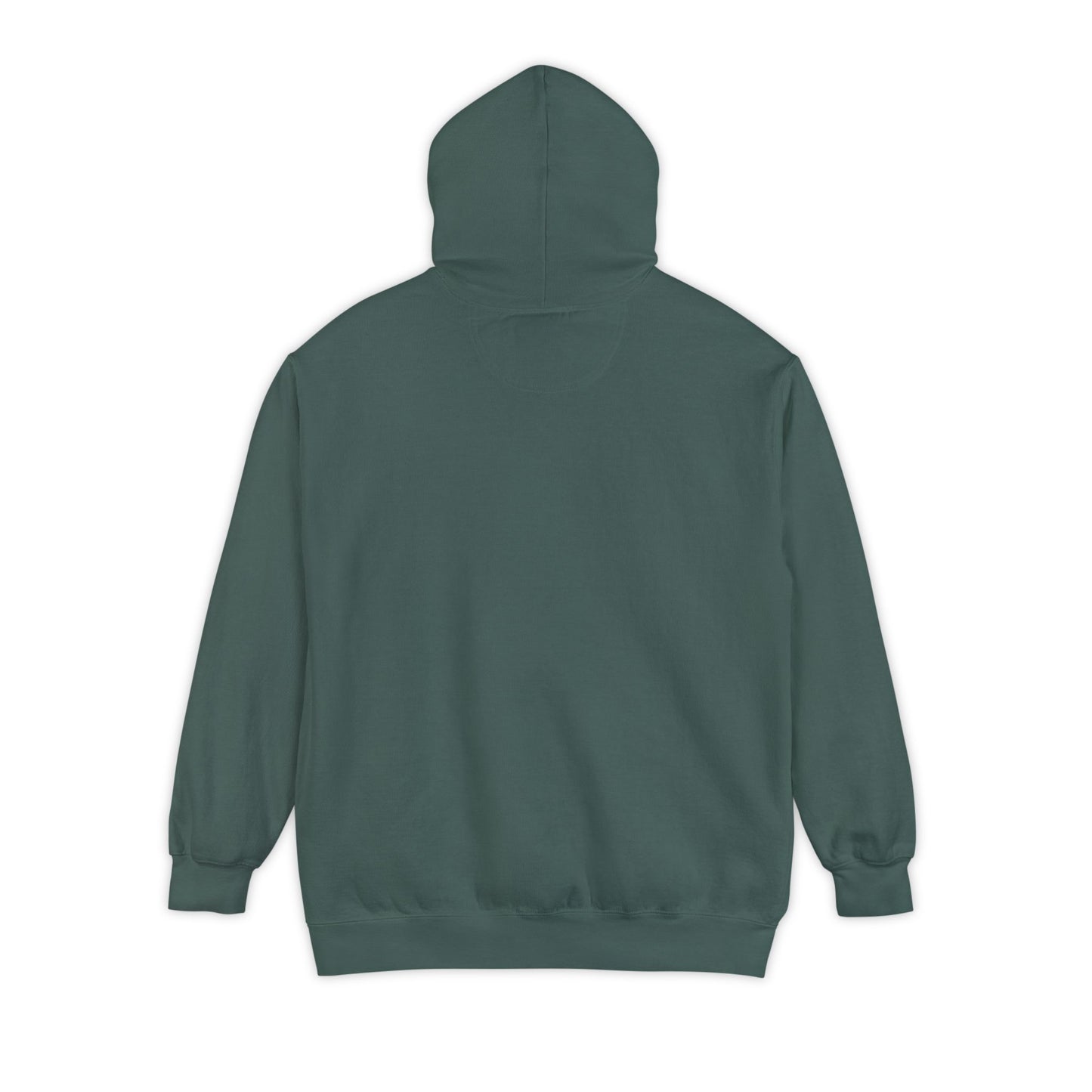 EPHESIANS 6:11 HOODIE