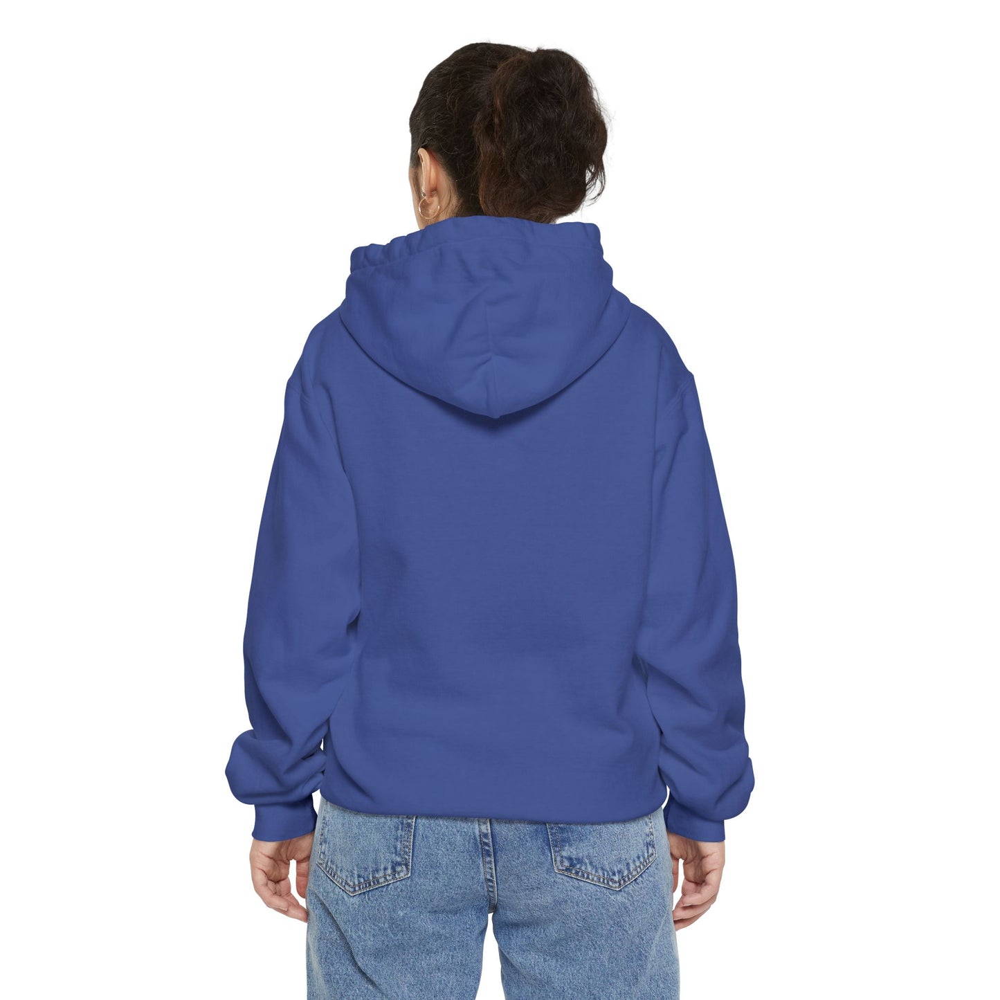 EPHESIANS 6:11 HOODIE