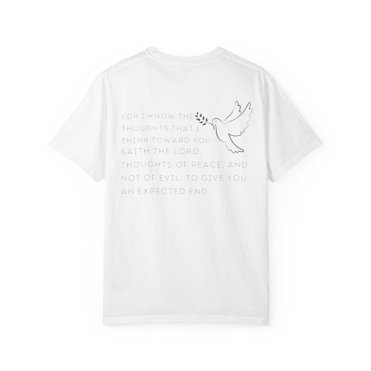 JEREMIAH 29:11 SHIRT