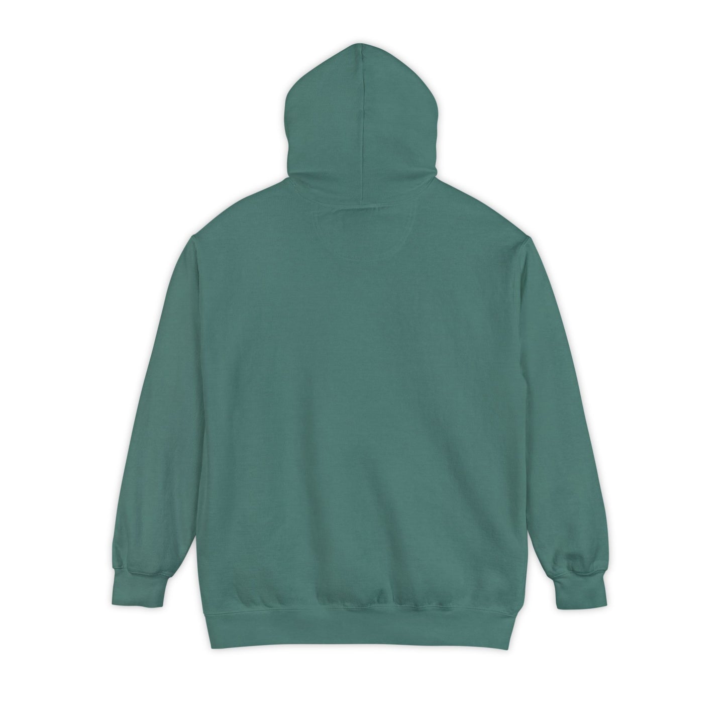 EPHESIANS 6:11 HOODIE