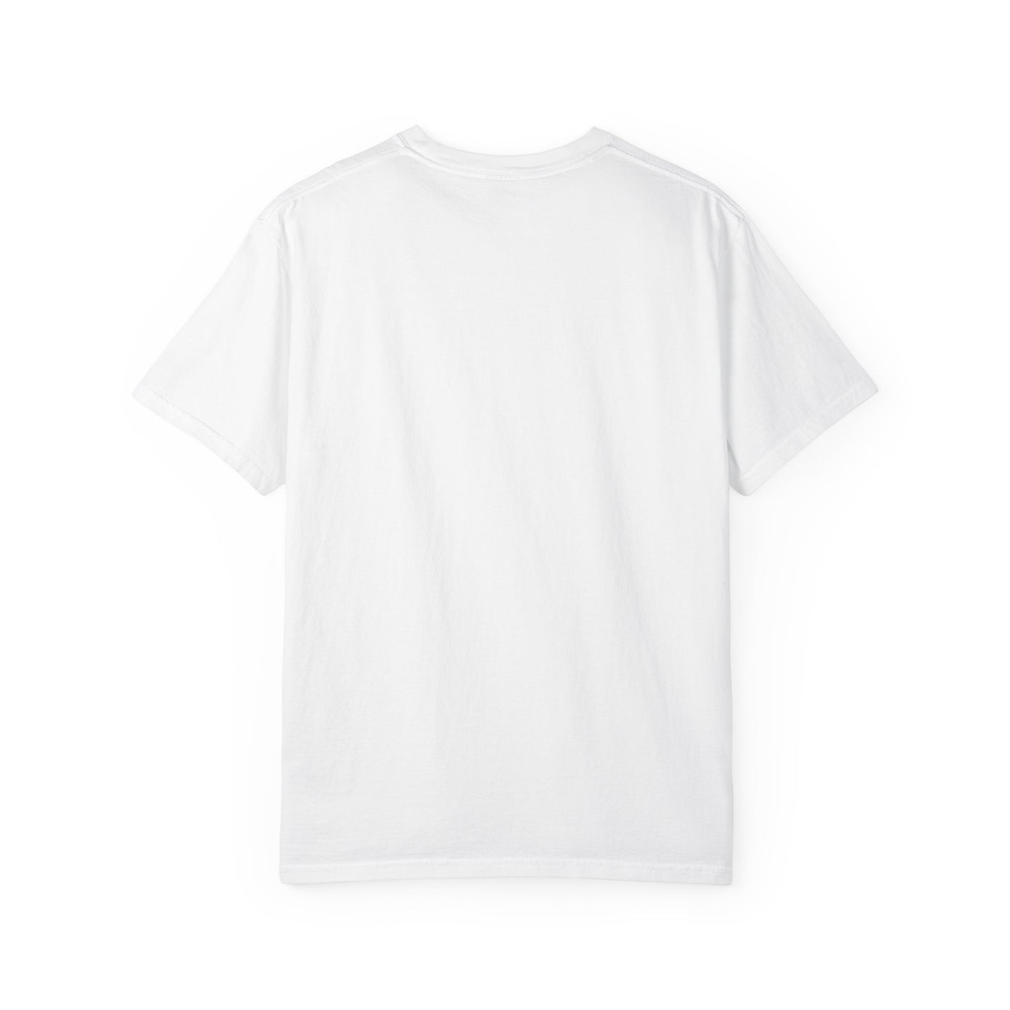 EPHESIANS 6:11 SHIRT