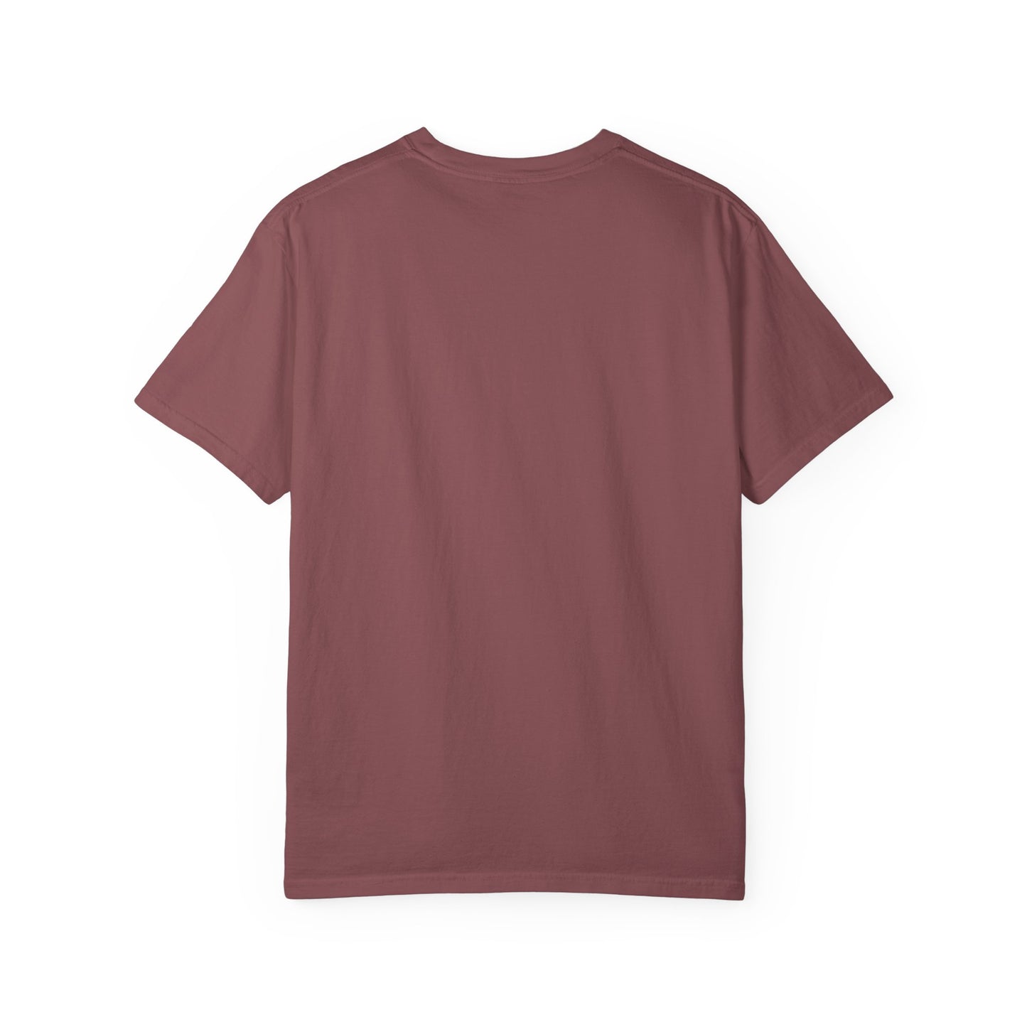 EPHESIANS 6:11 SHIRT