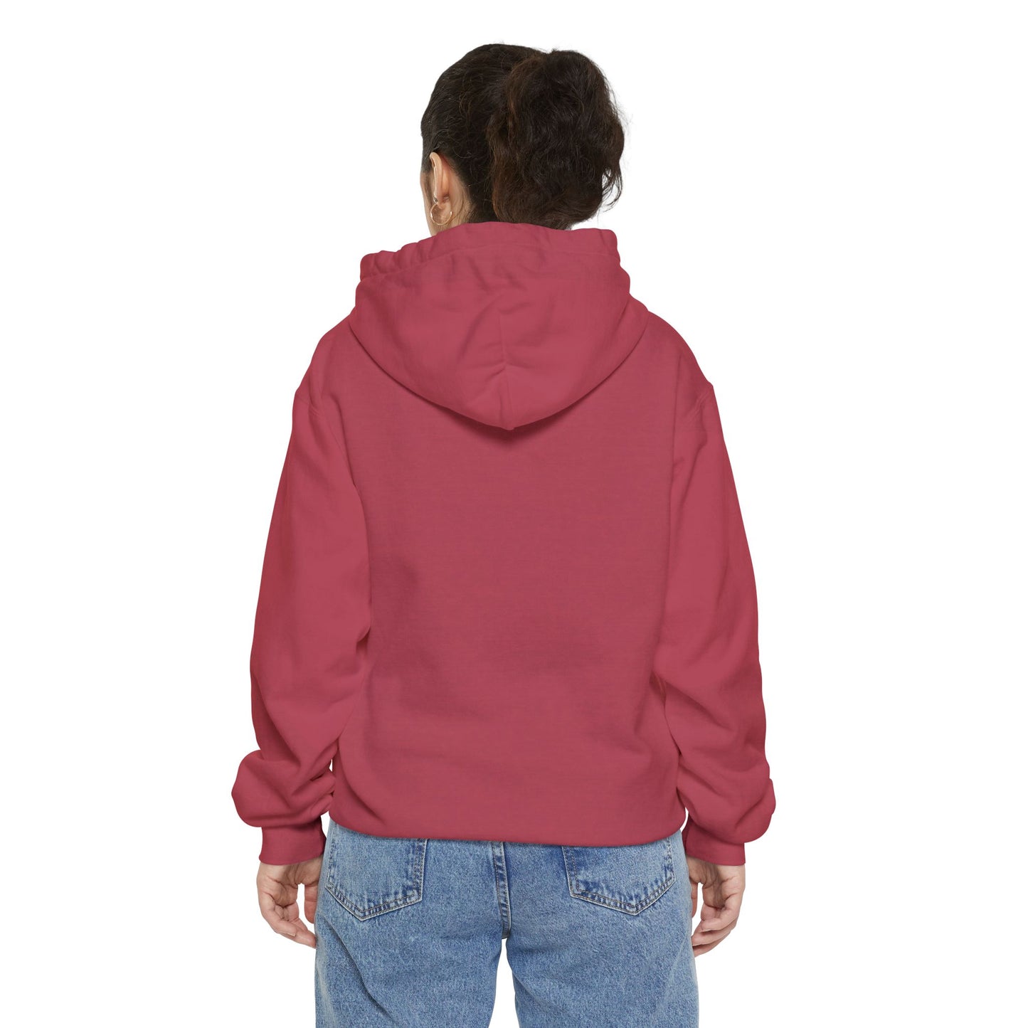 EPHESIANS 6:11 HOODIE