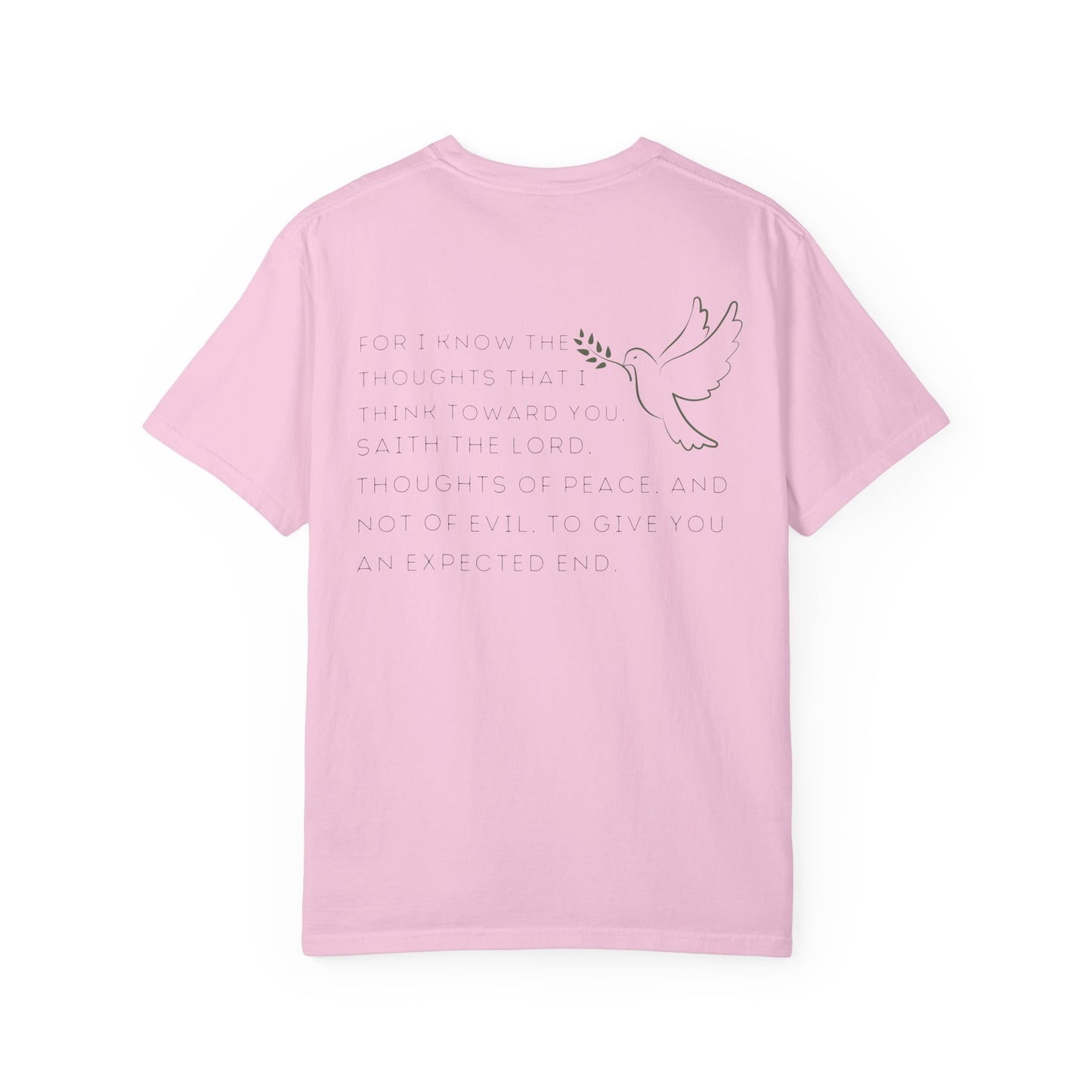 JEREMIAH 29:11 SHIRT