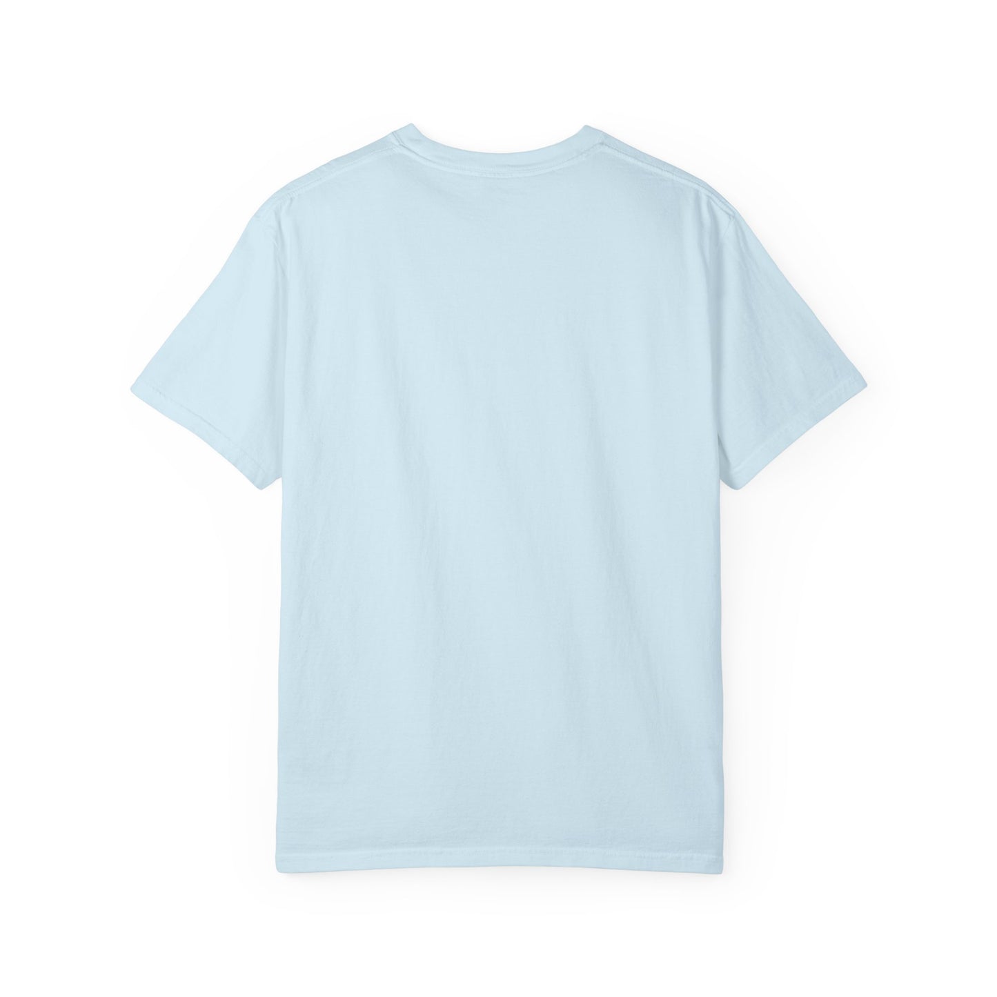 EPHESIANS 6:11 SHIRT