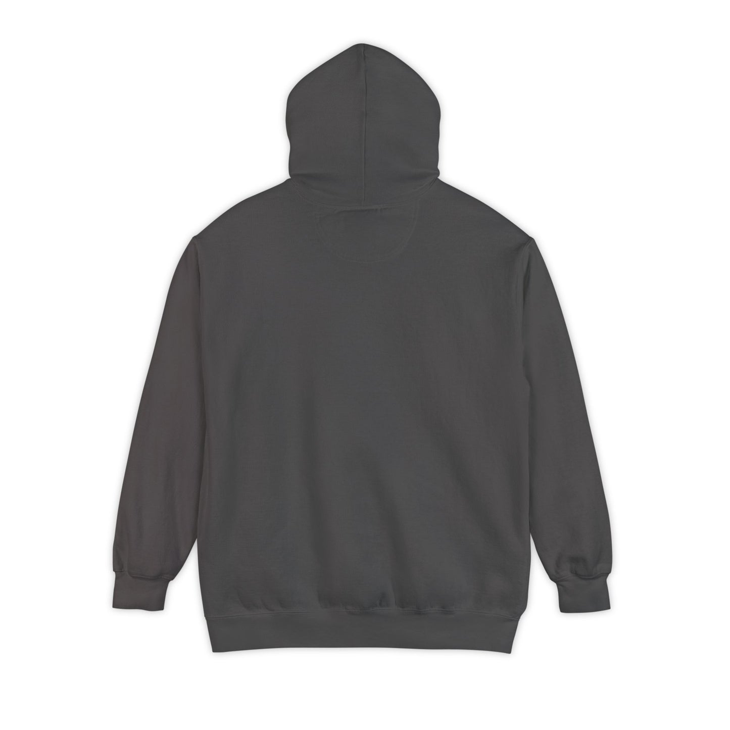 EPHESIANS 6:11 HOODIE