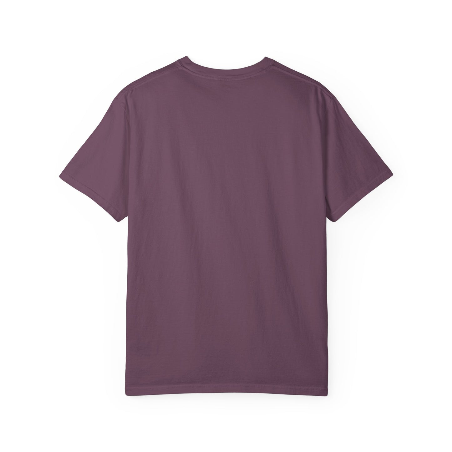 EPHESIANS 6:11 SHIRT