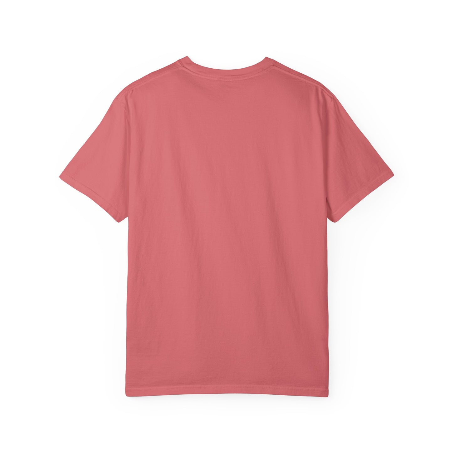 EPHESIANS 6:11 SHIRT