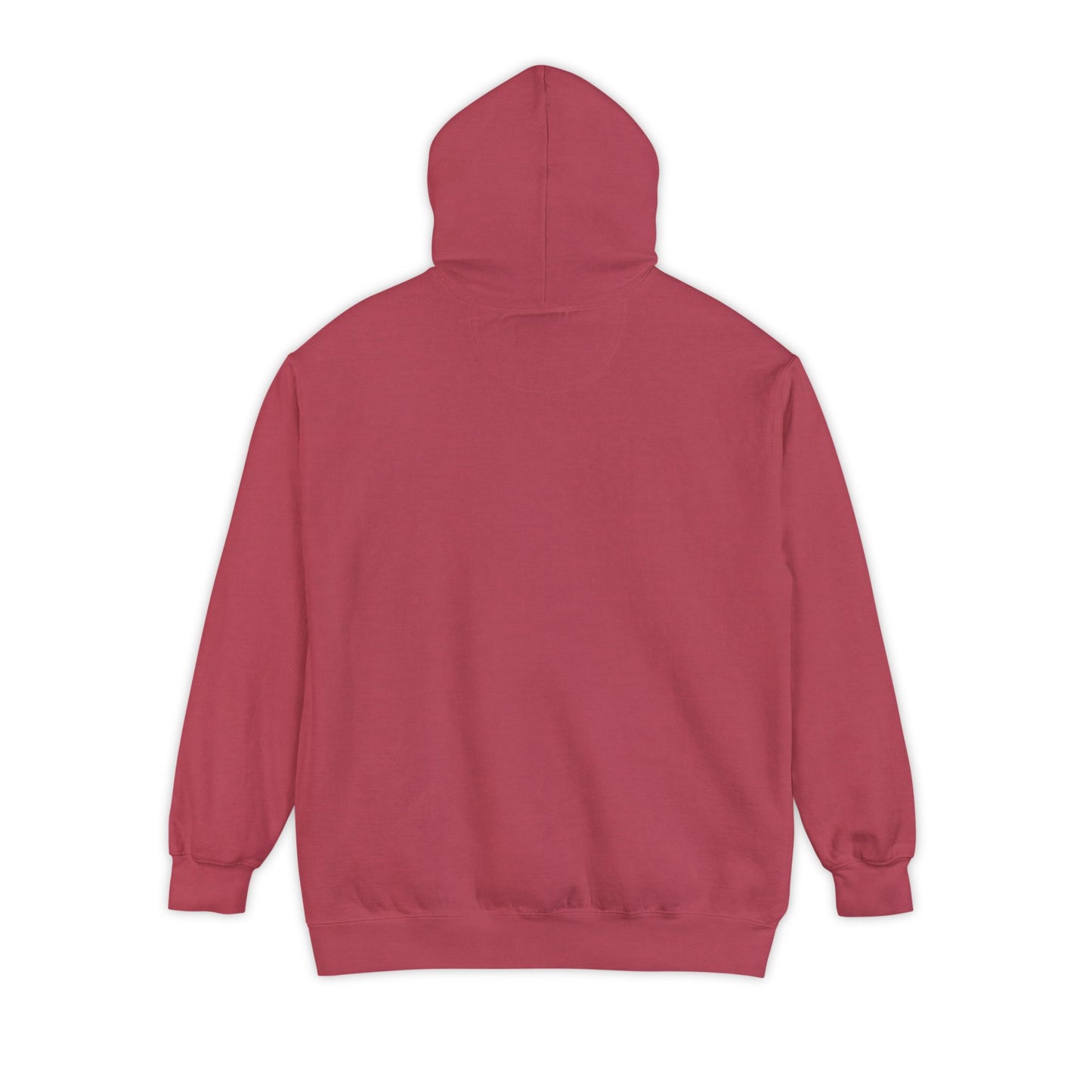EPHESIANS 6:11 HOODIE