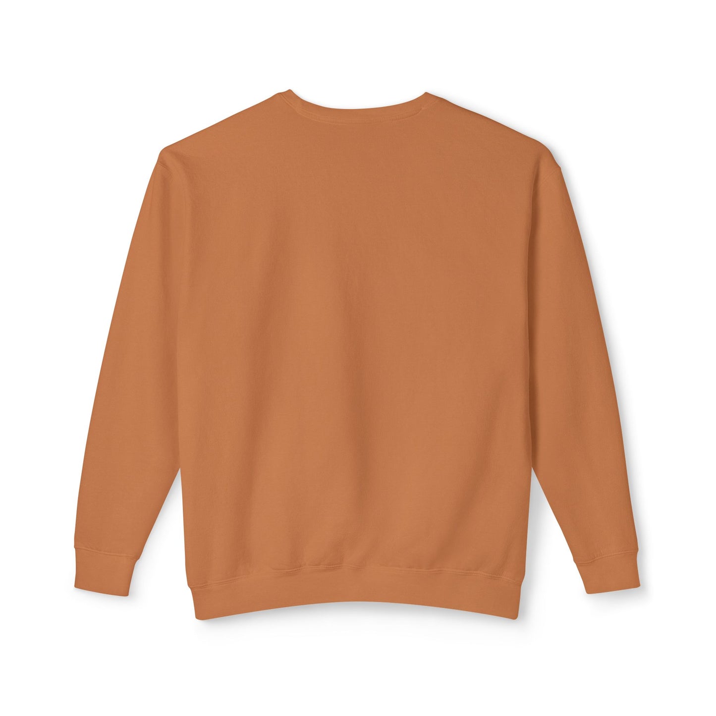 EPHESIANS 6:11 CREWNECK