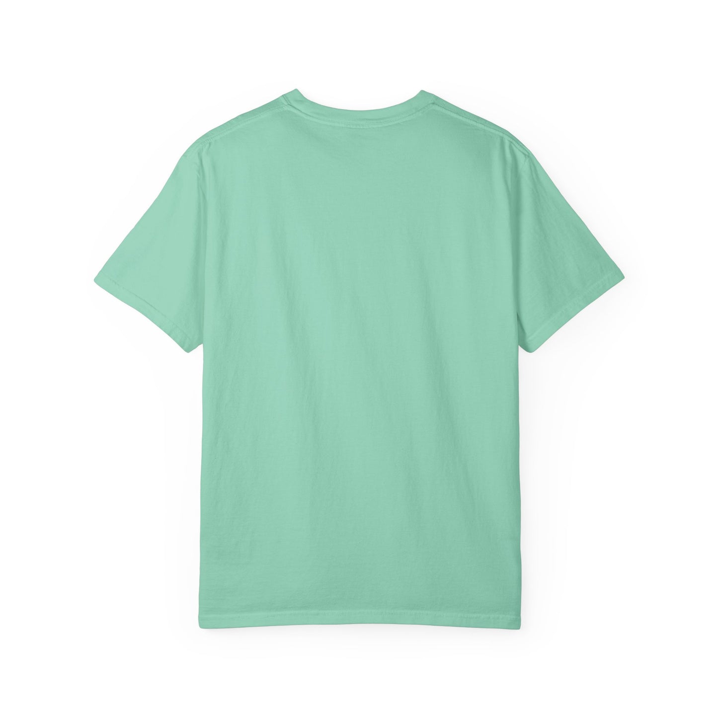 EPHESIANS 6:11 SHIRT