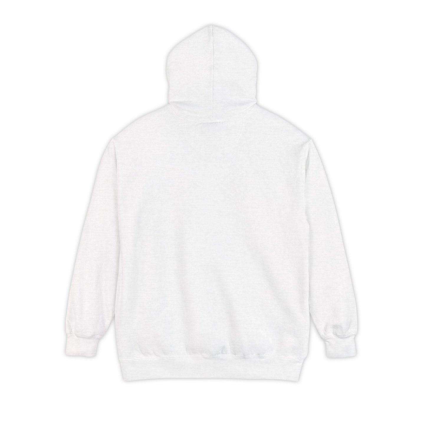 EPHESIANS 6:11 HOODIE