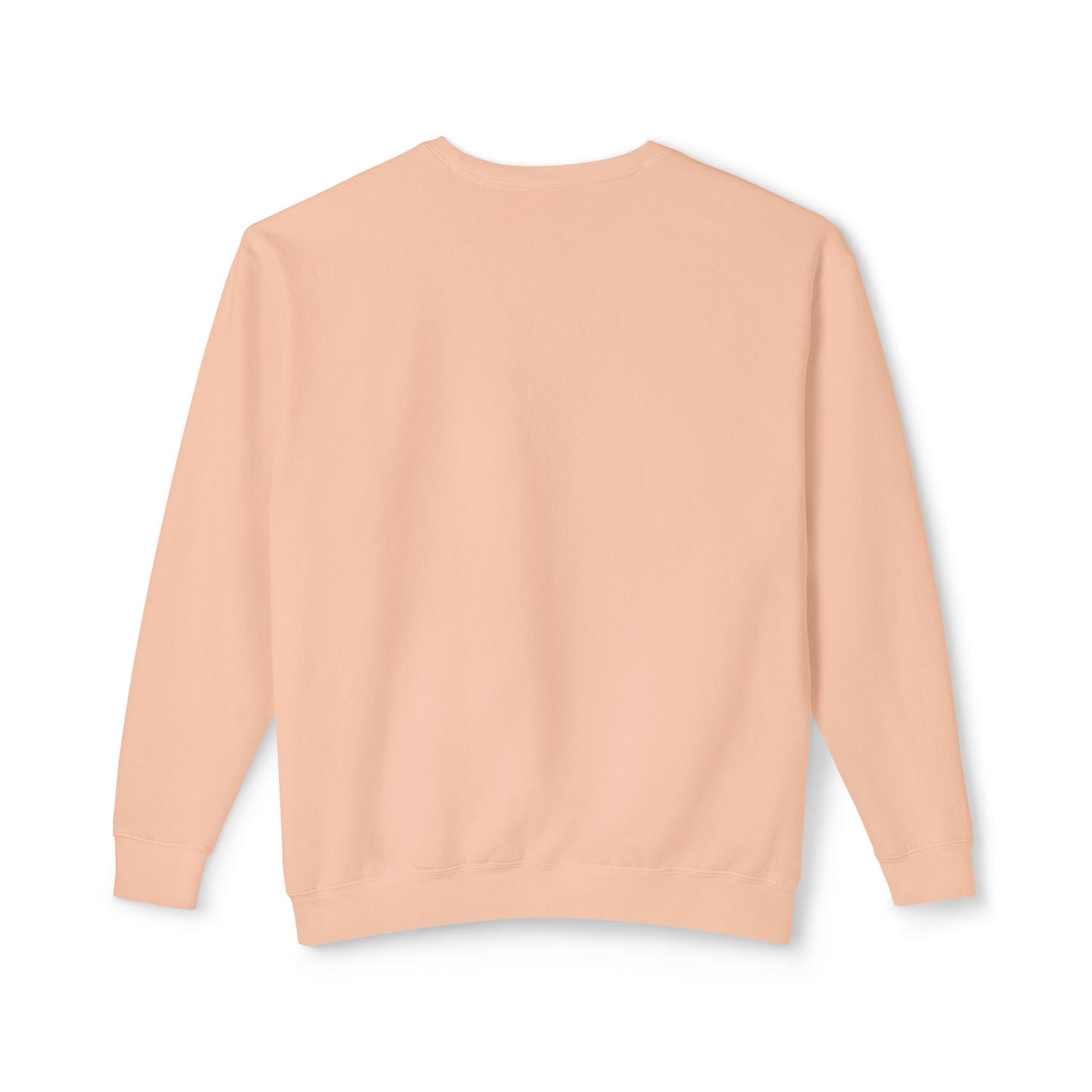 EPHESIANS 6:11 CREWNECK