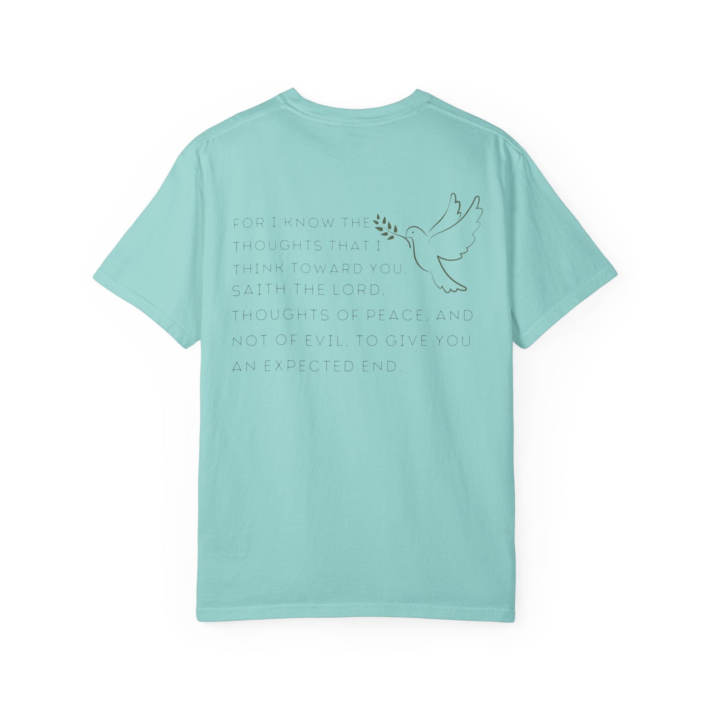 JEREMIAH 29:11 SHIRT