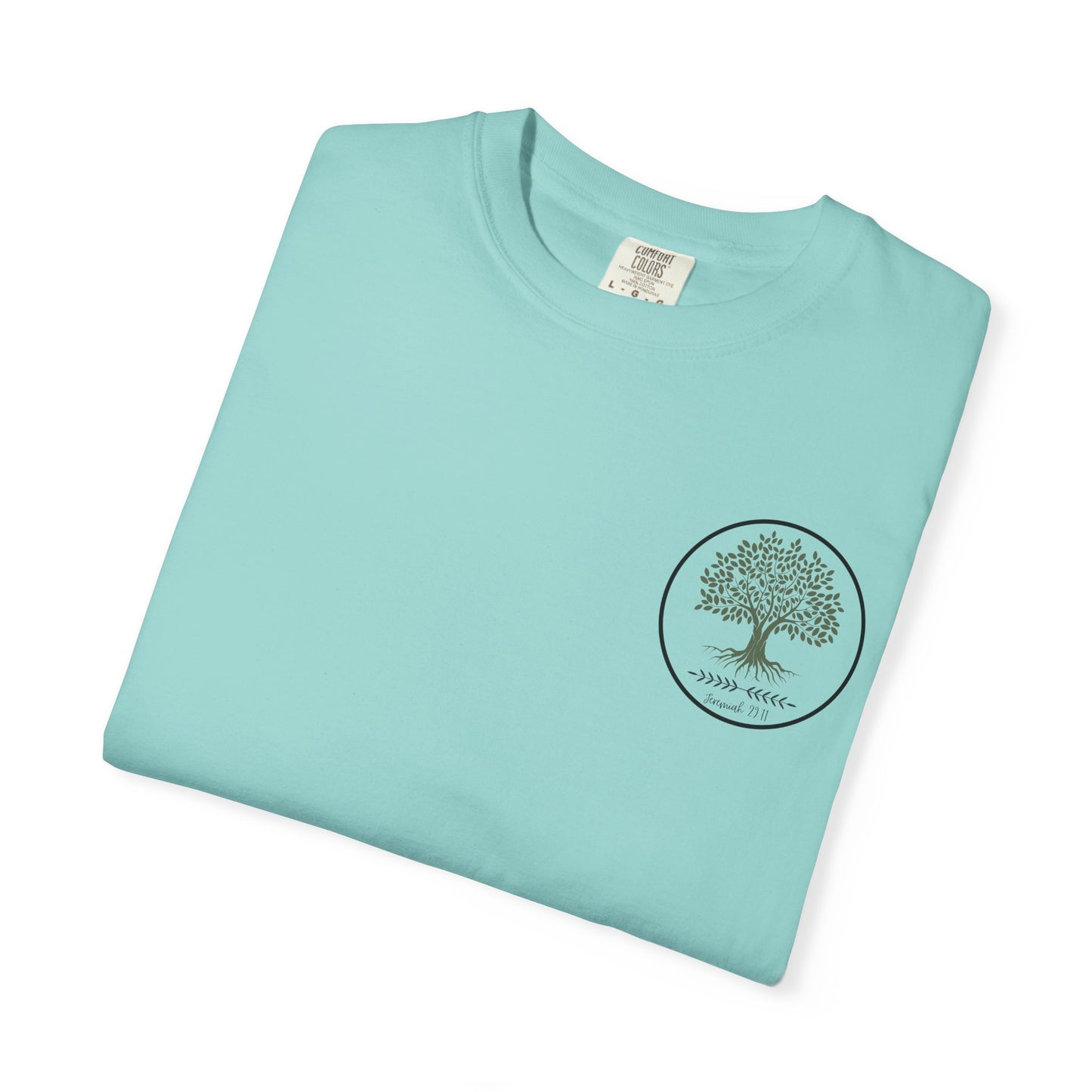 JEREMIAH 29:11 SHIRT