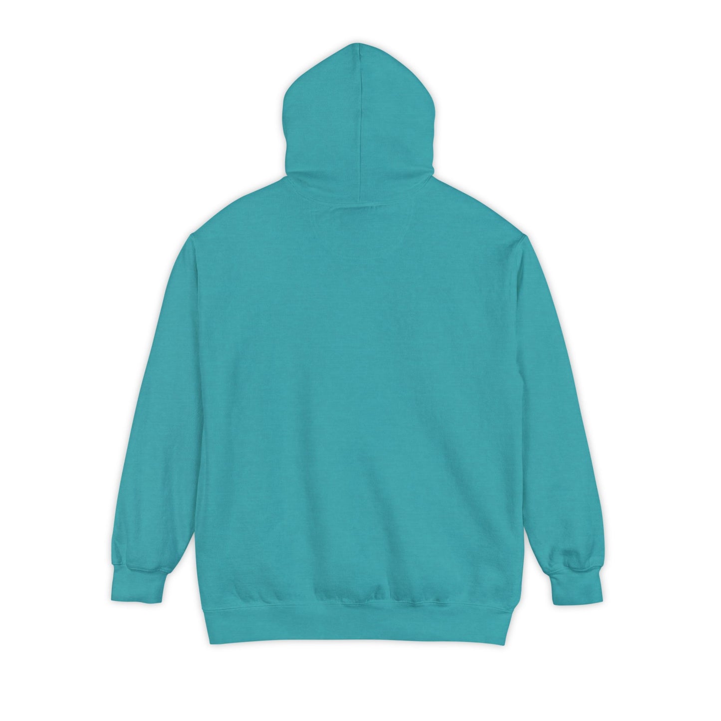 EPHESIANS 6:11 HOODIE