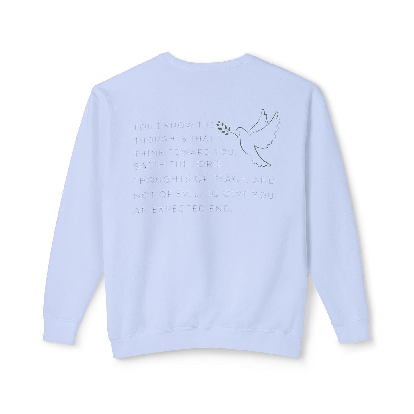 JEREMIAH 29:11 CREWNECK