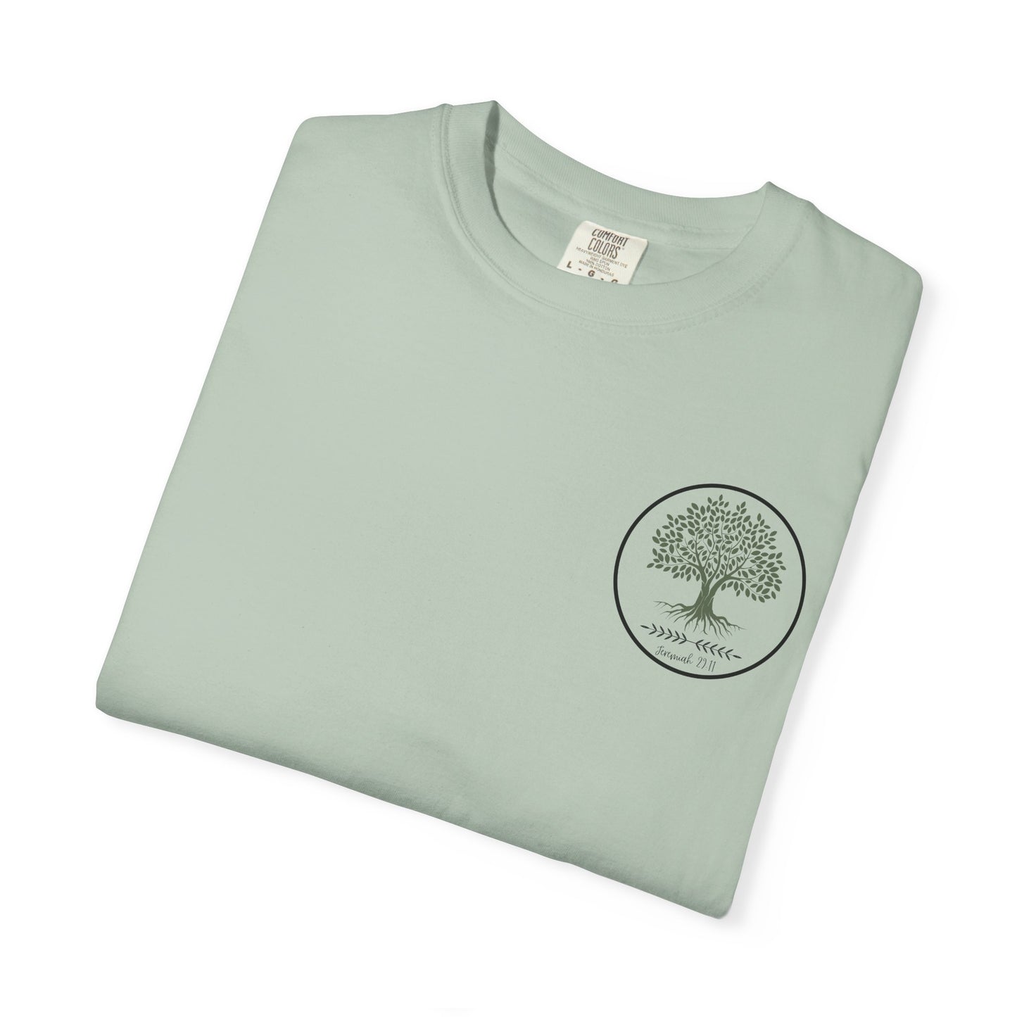 JEREMIAH 29:11 SHIRT