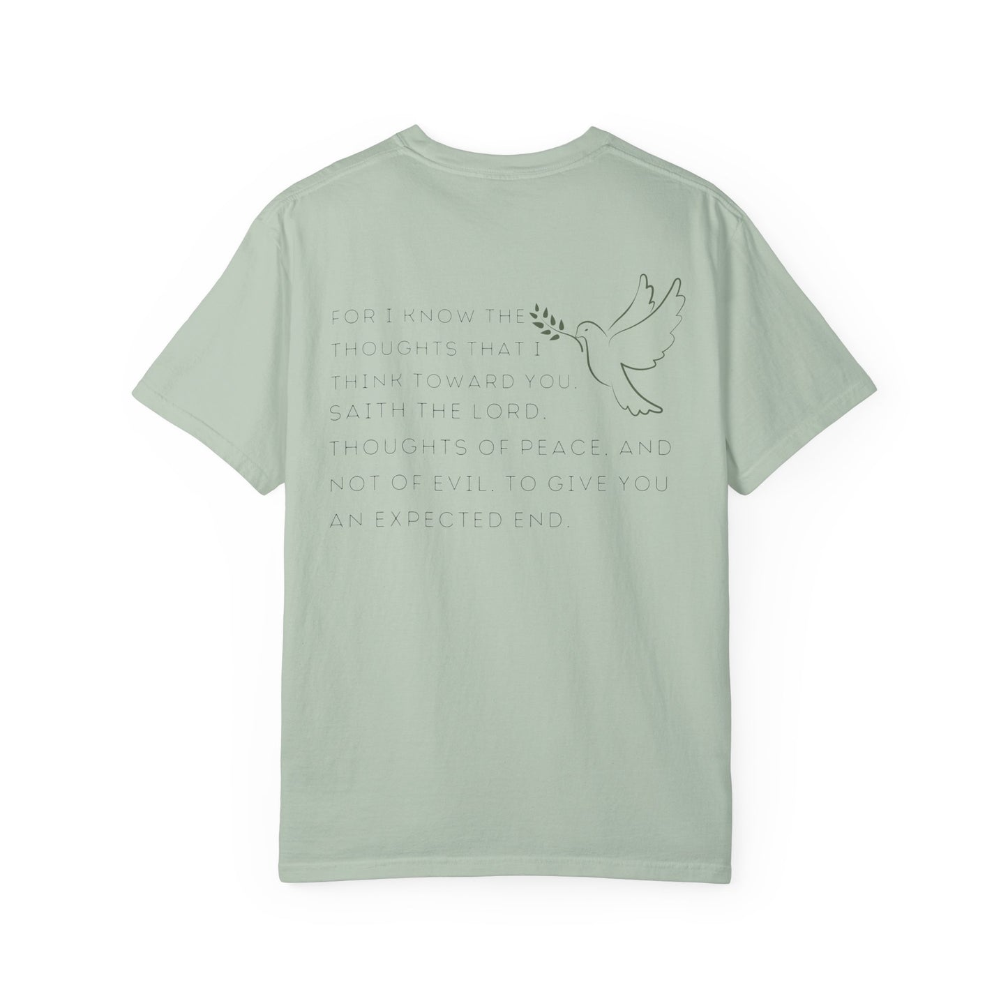 JEREMIAH 29:11 SHIRT