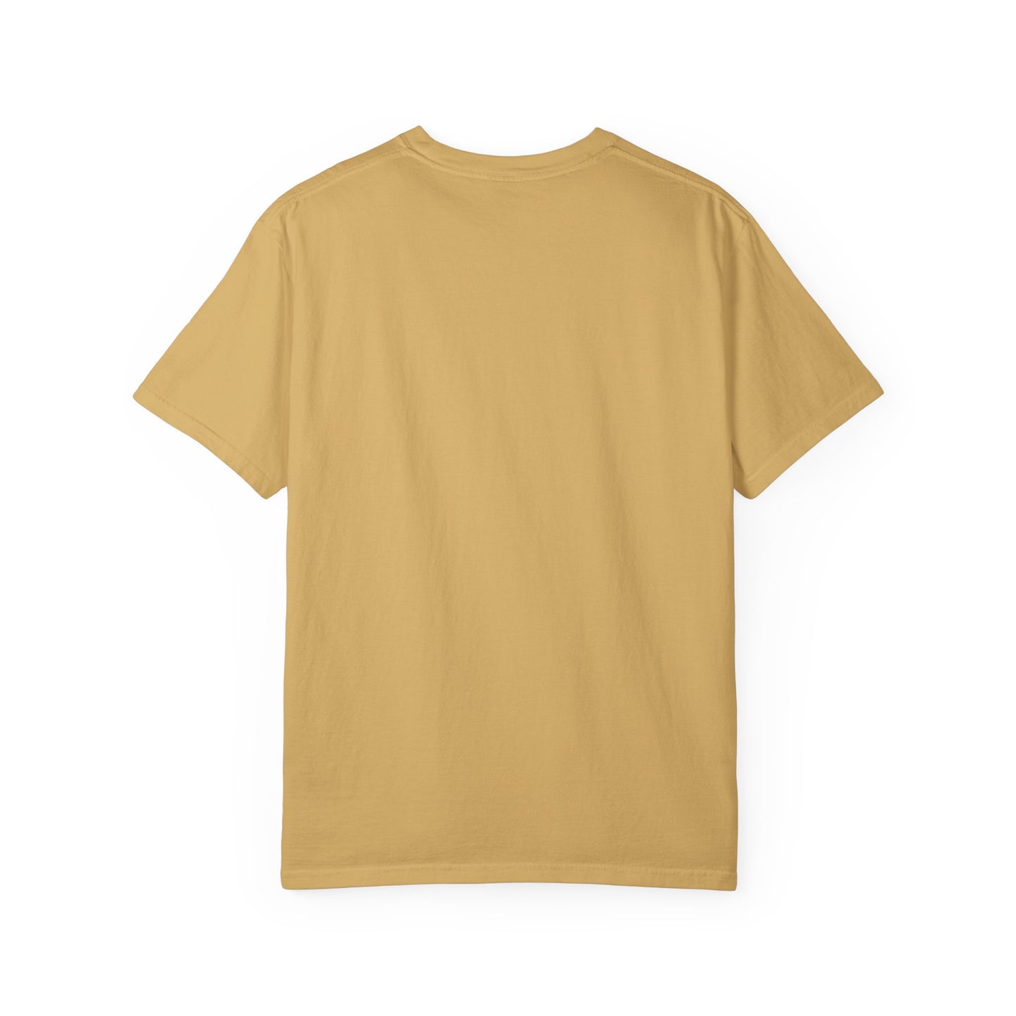 EPHESIANS 6:11 SHIRT